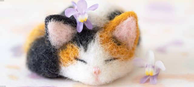 fzUIVqm
